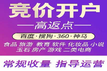 百度竞价赚钱秘诀：实战案例分析