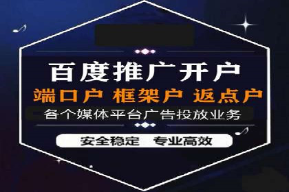 案例研究：百度推广托管助力电商品牌快速崛起